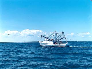 Designing a Marine-Approved PSU for Sustainable Fishing